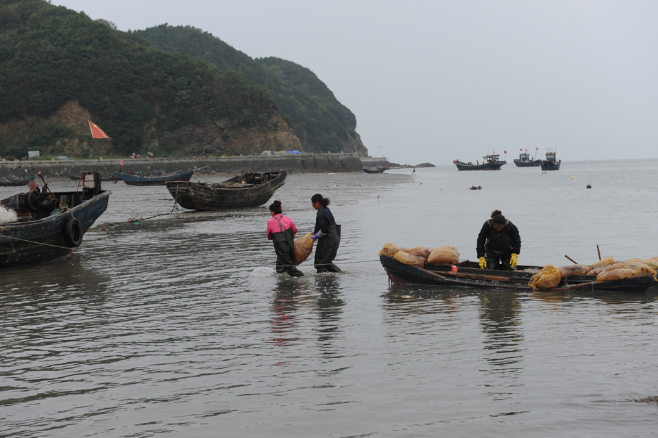 山娃煮海